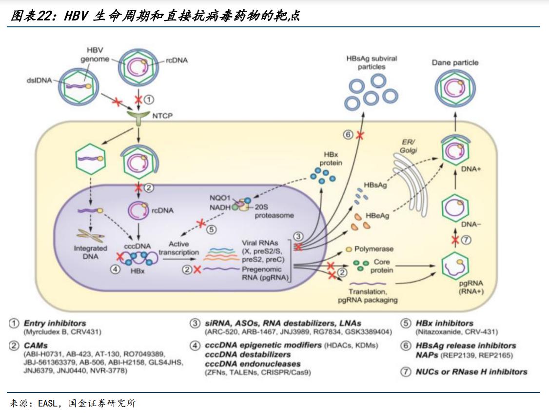 特宝生物乙肝,特宝生物乙肝新药