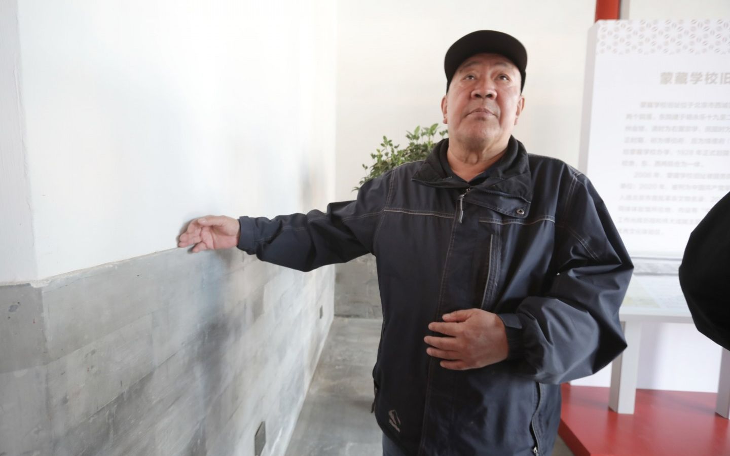 沧桑人景仰丨植槐栽藤,都要从诗人的词句里找线索