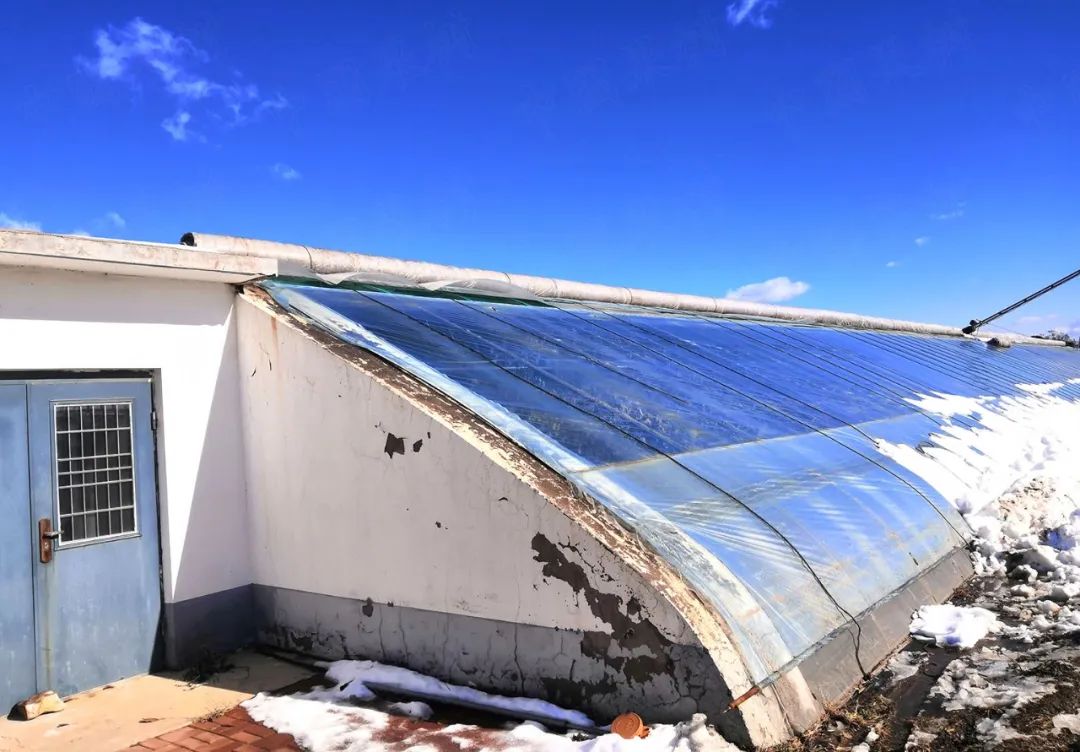 设施农业大棚冬季除雪注意事项及方法