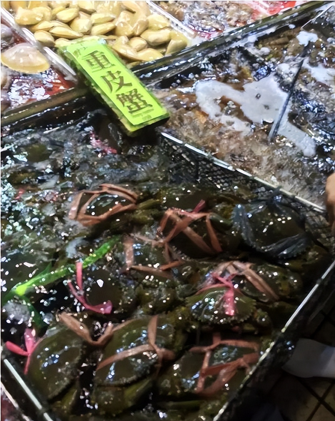 香港海鲜市场生猛海鲜,香港最大水产品市场