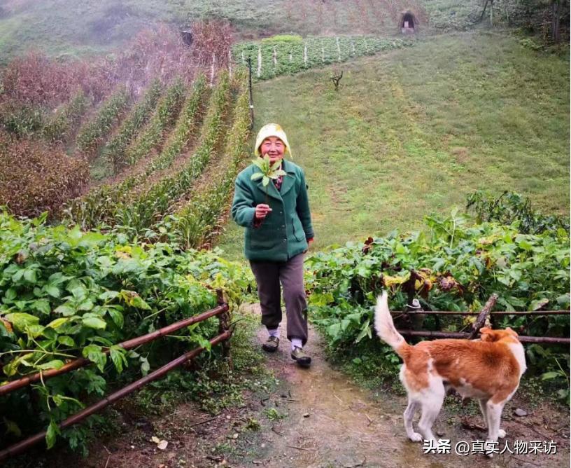 我，湖北人，泰国打拼4年，娶妻生子，买下50亩地，年入700万泰铢