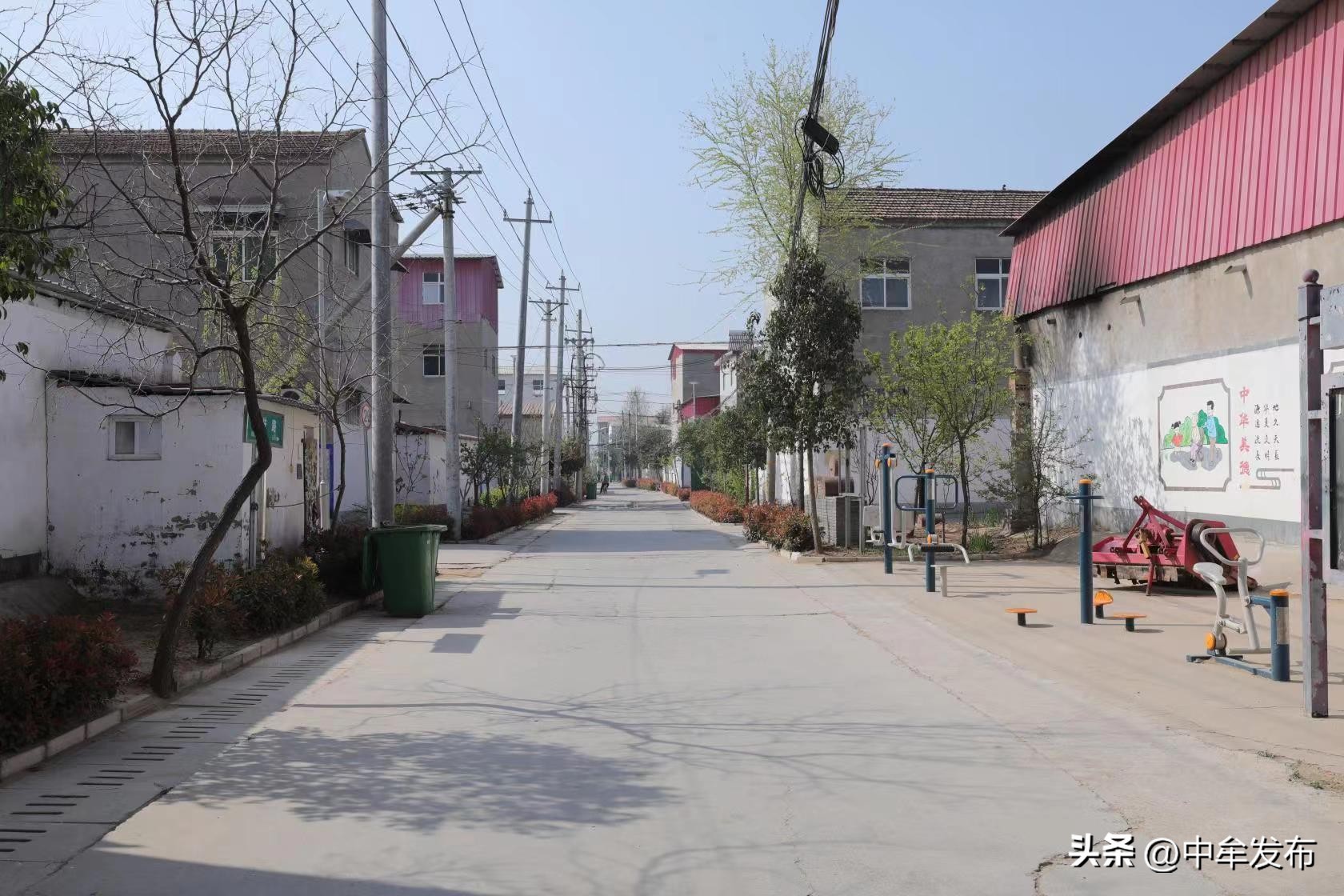 黄镇美丽乡村建设,杨湾镇整治人居环境扮靓美丽乡村