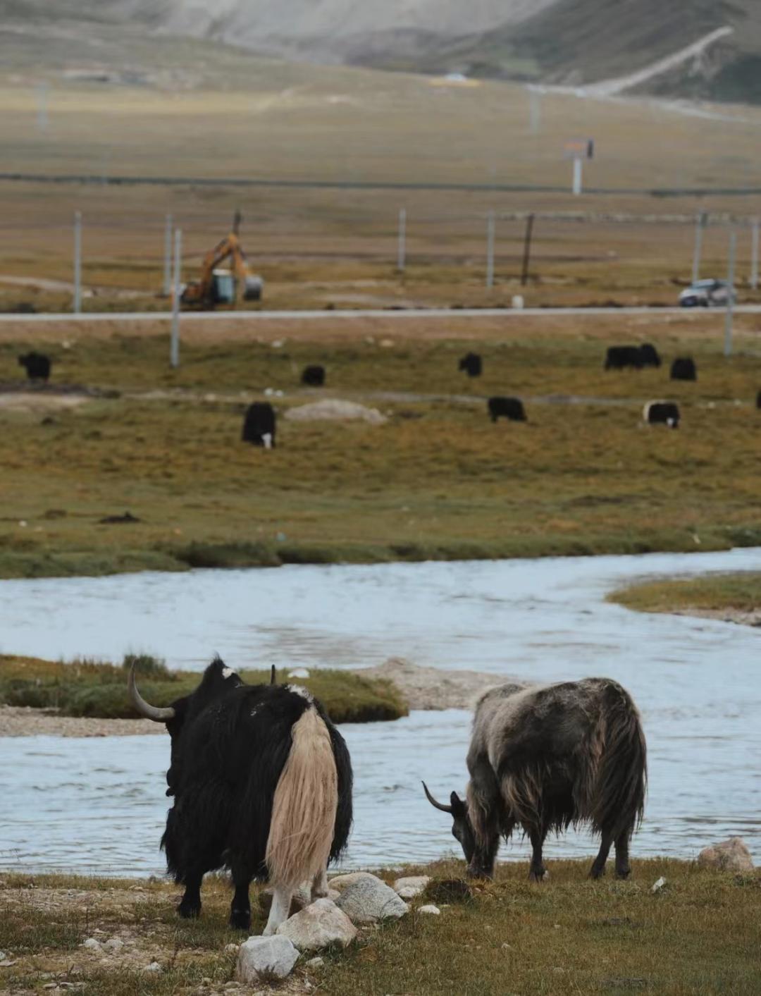 7月24日|浓浓援藏情，沪藏一家亲珠穆朗玛峰、扎什伦布寺9日“上海-日喀则”援藏旅游包机活动