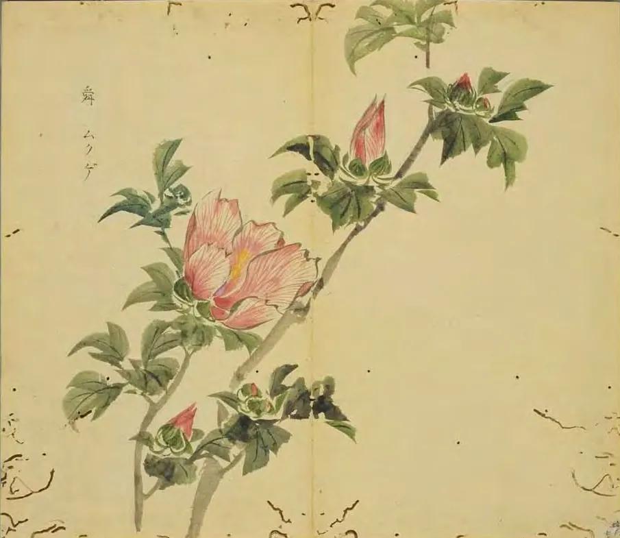 陈风月诗经原文,诗经陈风月出全文注音