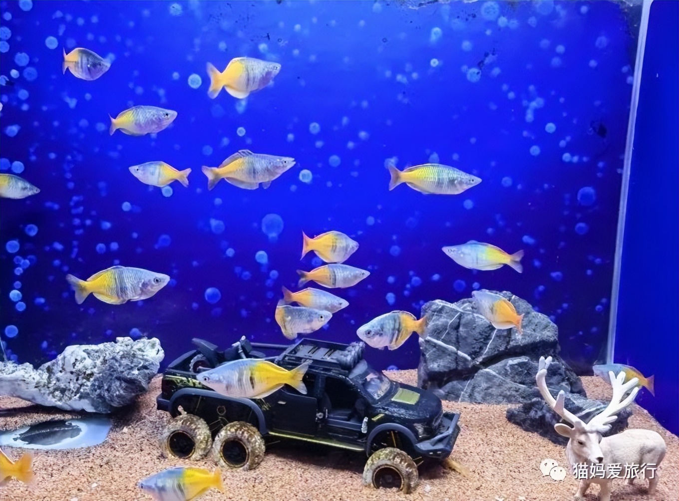 5天“趣”玩青岛，我的私藏遛娃路线