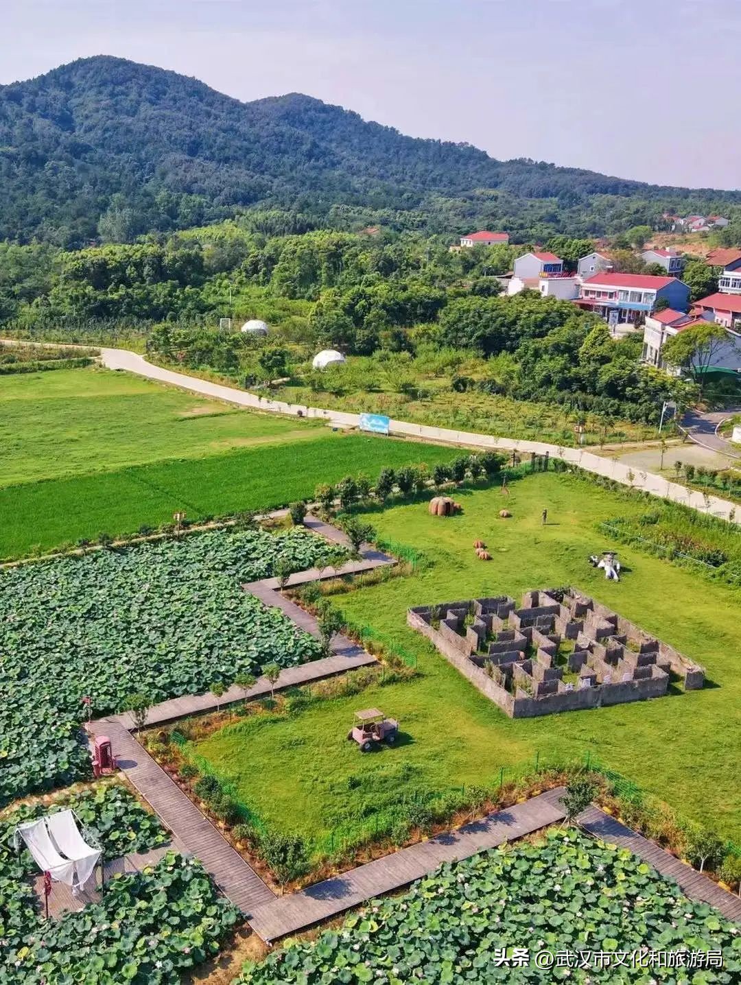 端午节私藏版游玩攻略,蔡甸2021年1月游玩攻略