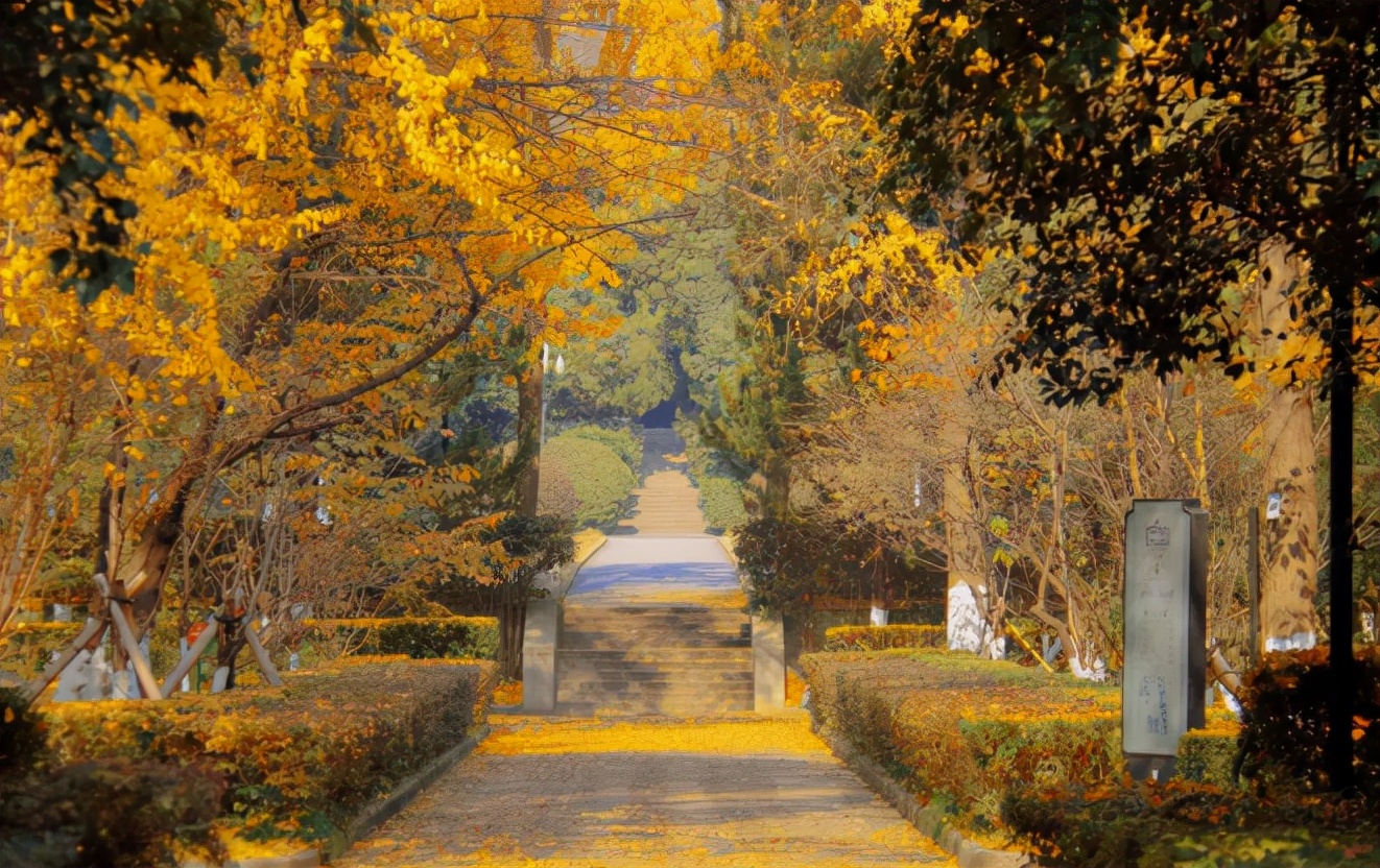 北京大学毕业生去向报告,北京大学毕业生都去了什么地方