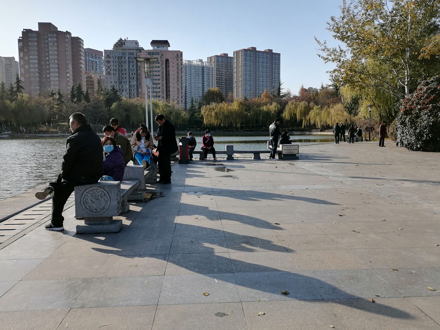 冬日暖阳悠闲惬意,冬日的丰庆公园