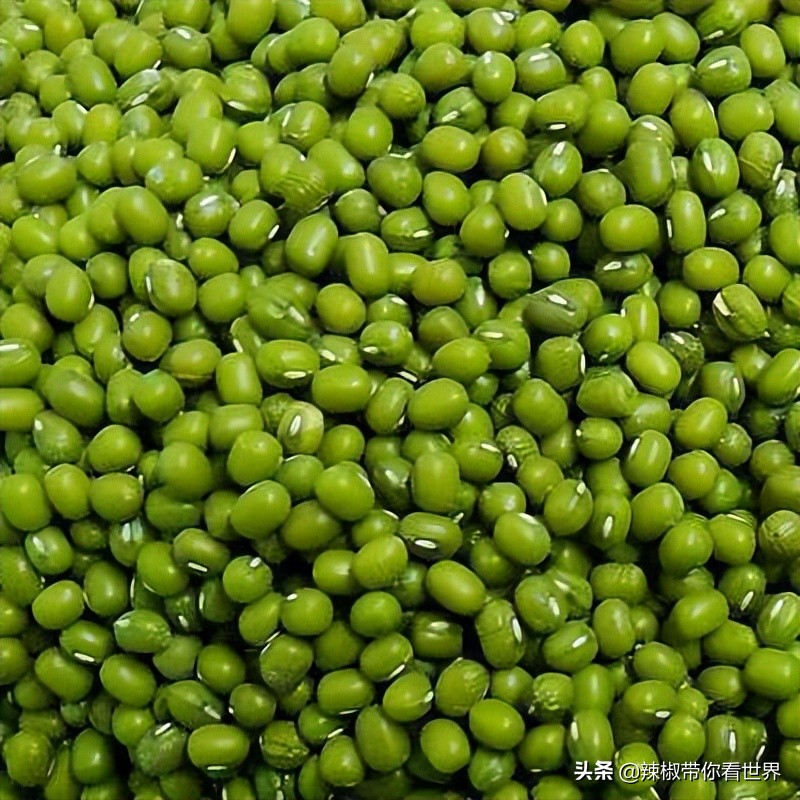 美在黑龙江：走进诗意山水之齐齐哈尔这里是世界大湿地中国鹤家乡