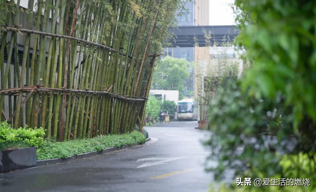 上海阿纳迪酒店特色和作用,上海阿纳迪酒店评价