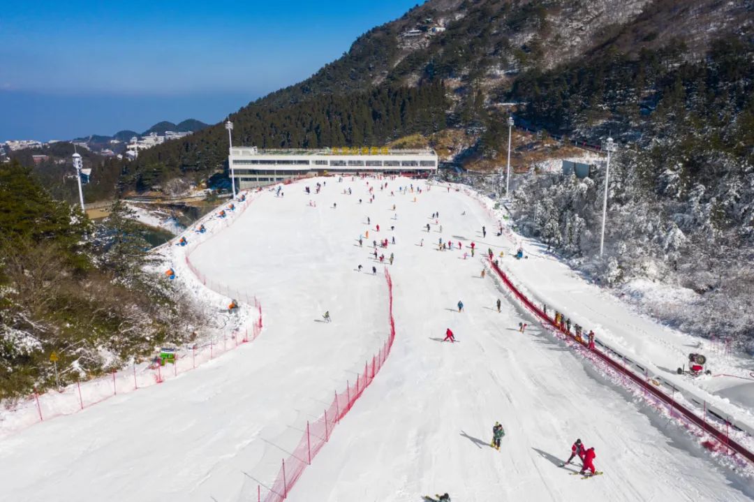 到咸宁看国宝过大年,离家45年的国宝回湖北咸宁过年