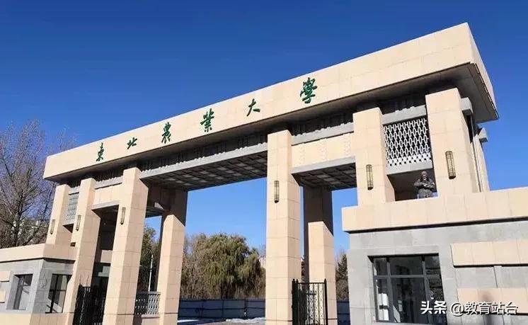东北林业大学研究生可以跨考吗,东北林业大学机械专硕能跨考吗