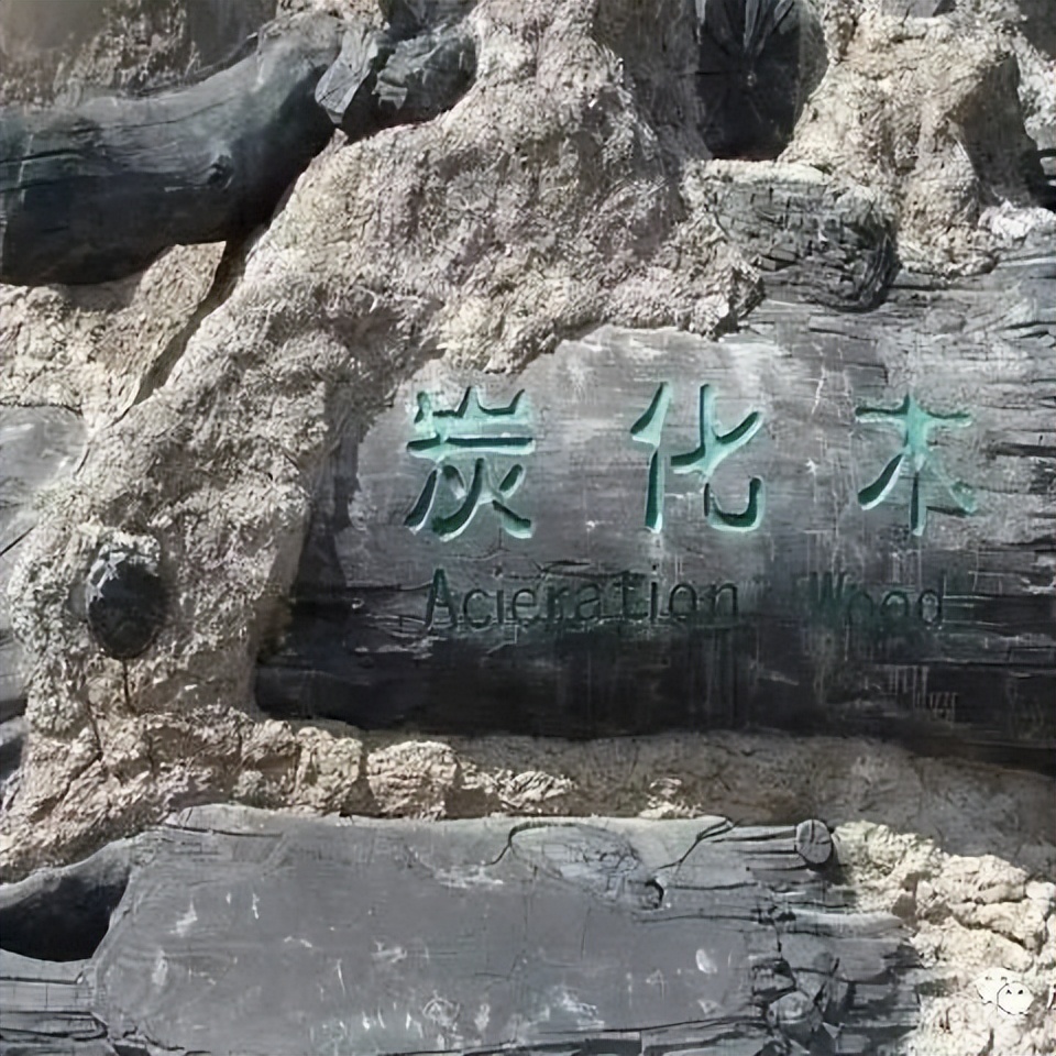 来白山,来长白山别只顾着打卡