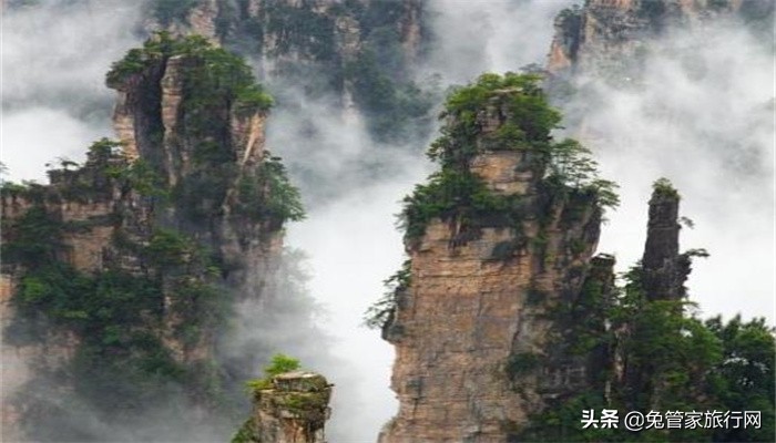 张家界值得和朋友打卡的地方,张家界五日游攻略自由行