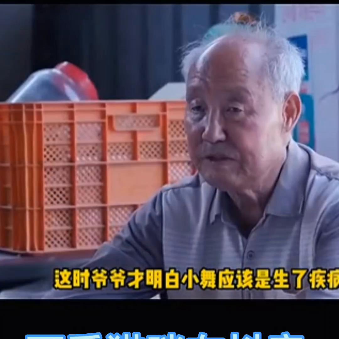 盘点猫科动物的迷惑行为,盘点猫动物的迷惑行为