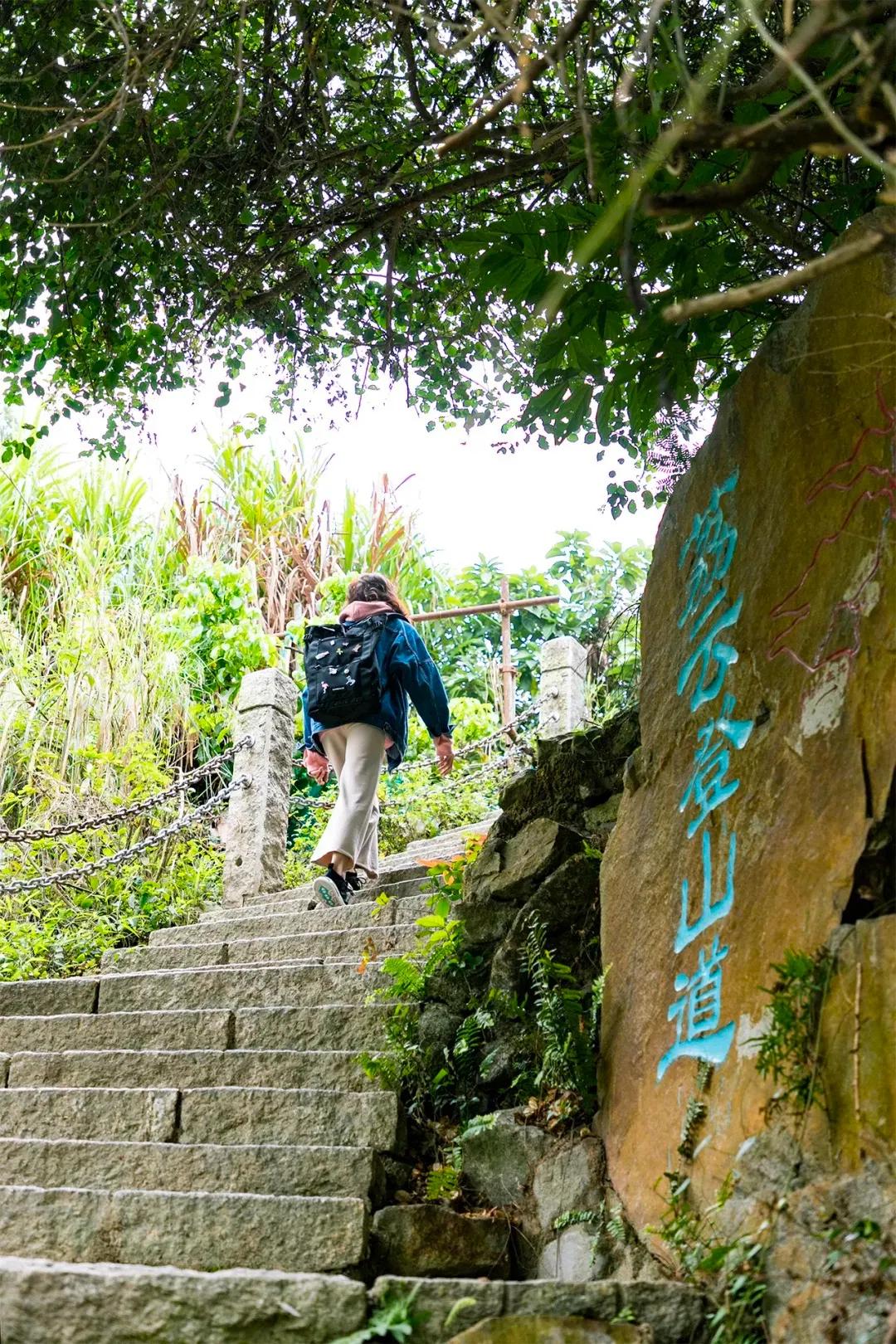 深圳最值得爬的景点,深圳十大最值得爬的山