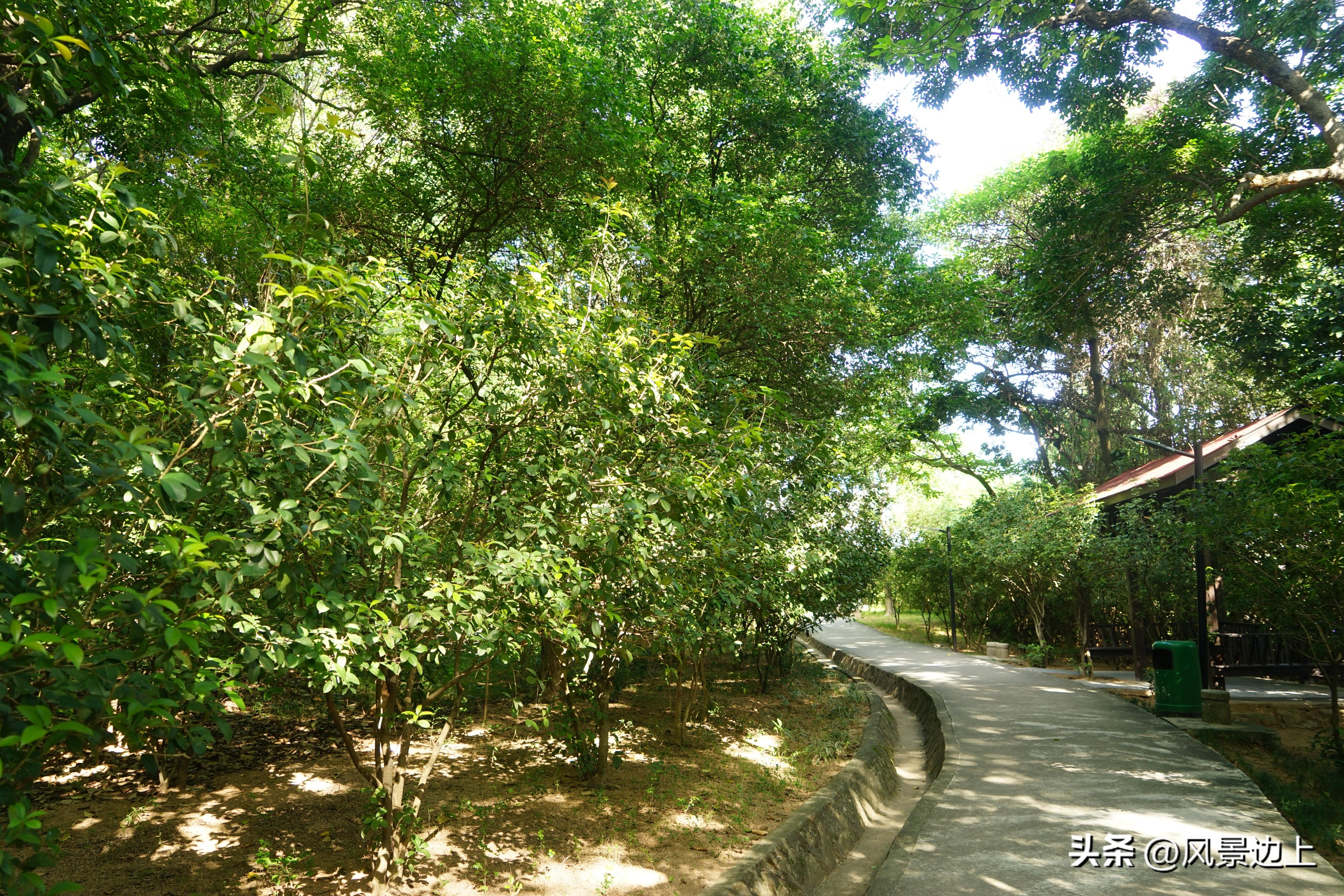 中山沙溪公园灵异事件,中山沙溪公园在哪里