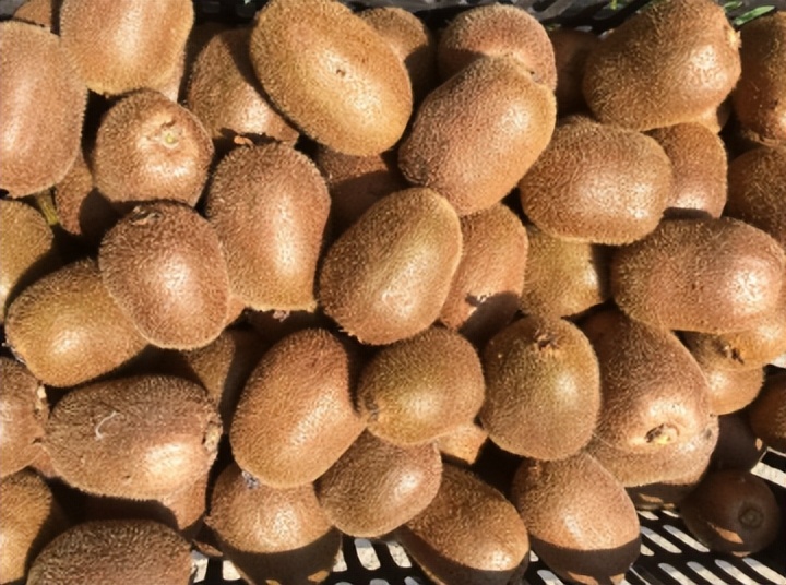 浙江土特产大全有哪些,浙江特产有哪些土特产品呢