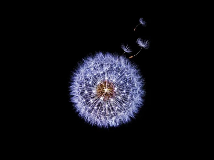 黑色背景拍出了真的好高级感,纯色背景怎么拍出来高级感