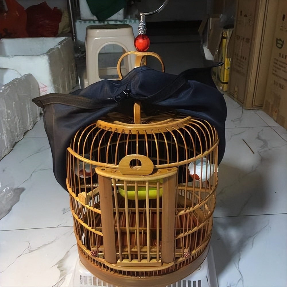 2017年商贩买了只怪鸟，卖150元都没人要，被抓才知是牢底坐穿鸟