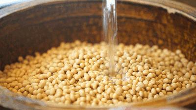 豆制品含哪些营养物质有益健康,豆制品包括哪一些不能吃