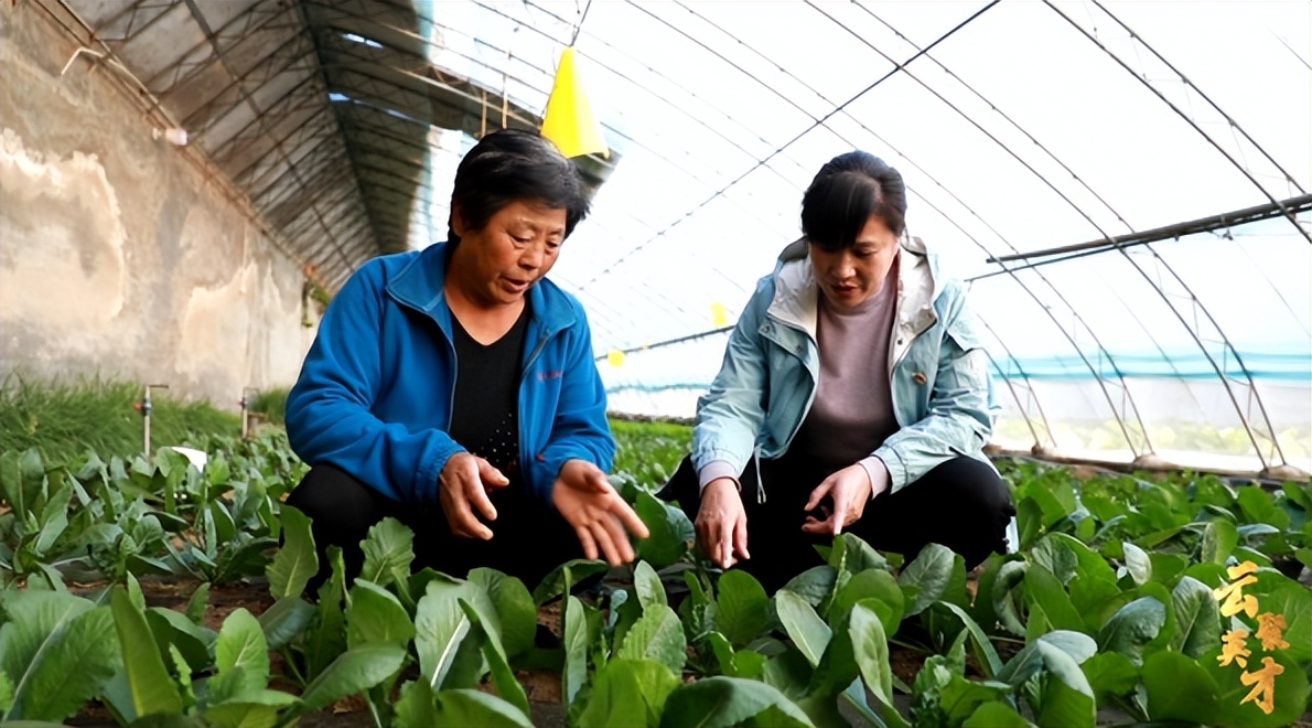 第七期乡村振兴致富带头人,乡村振兴致富带头人第二期