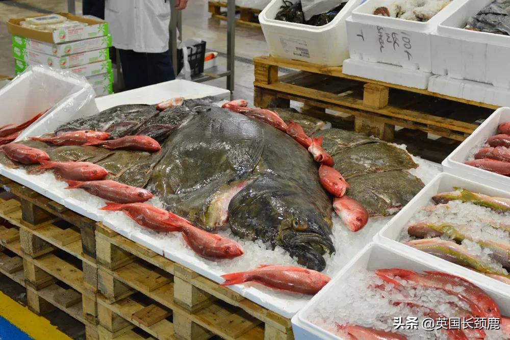 在伦敦哪里买新鲜的海鲜,伦敦海鲜市场买什么海鲜