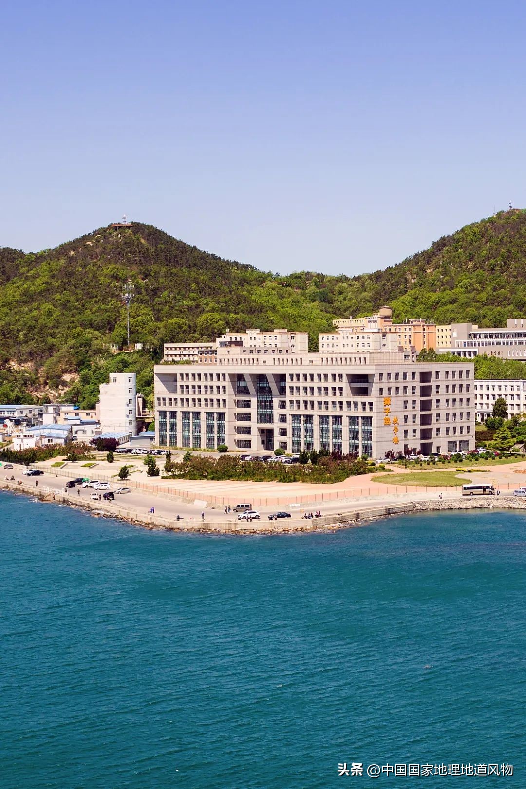 辽宁哪个地方的海鲜最好,辽宁各市都有啥海鲜