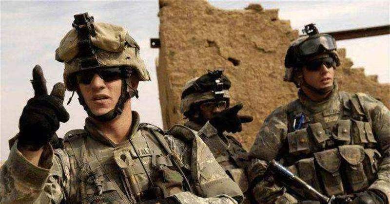 世界上最危险四棵树,地球上最危险的树木