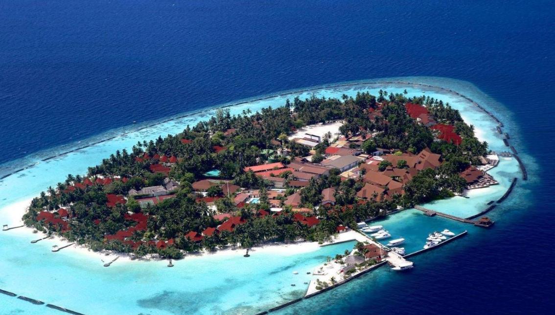 马尔代夫不是岛上有好玩地方吗,马尔代夫不就是虎鲨岛吗