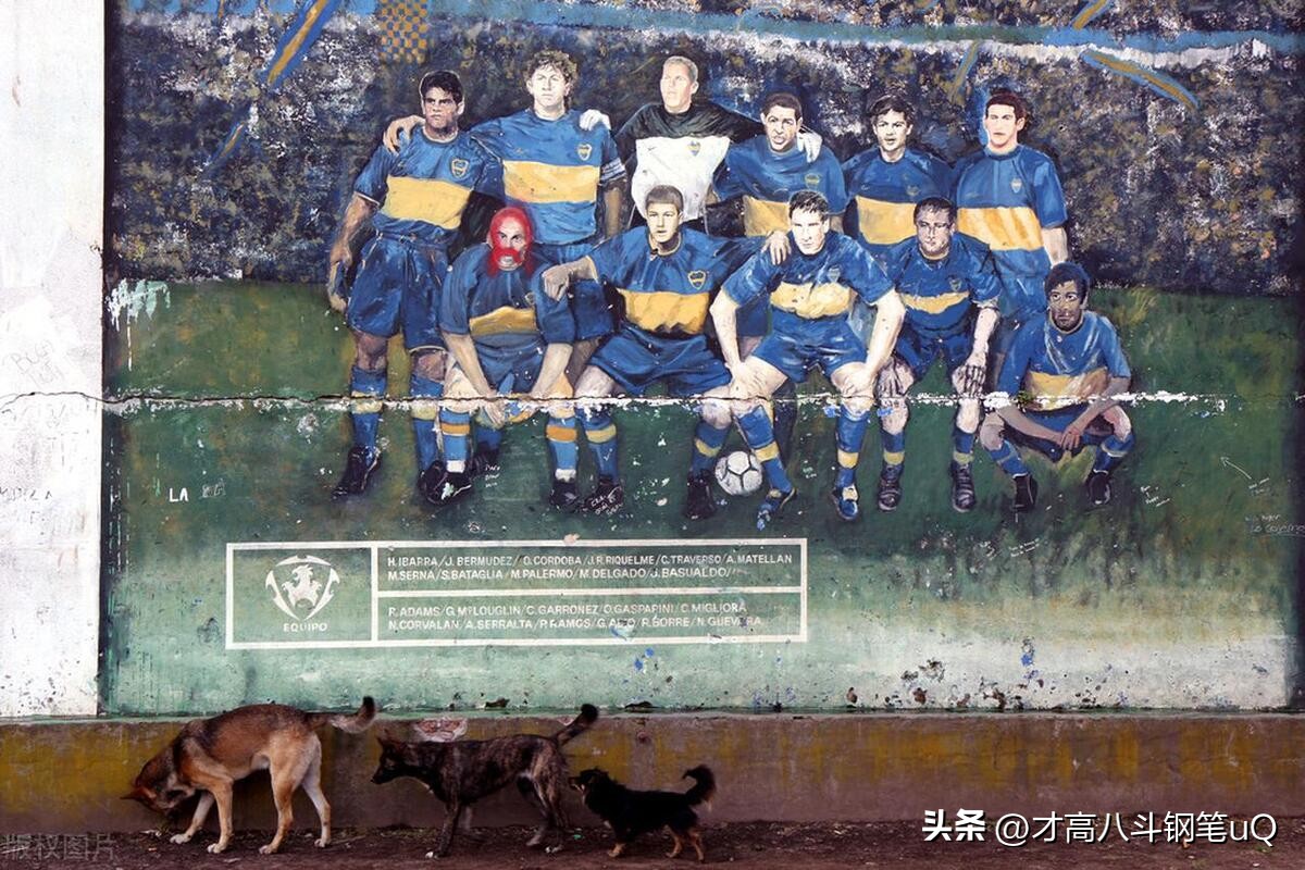 阿根廷中国行热度,阿根廷中国行意义