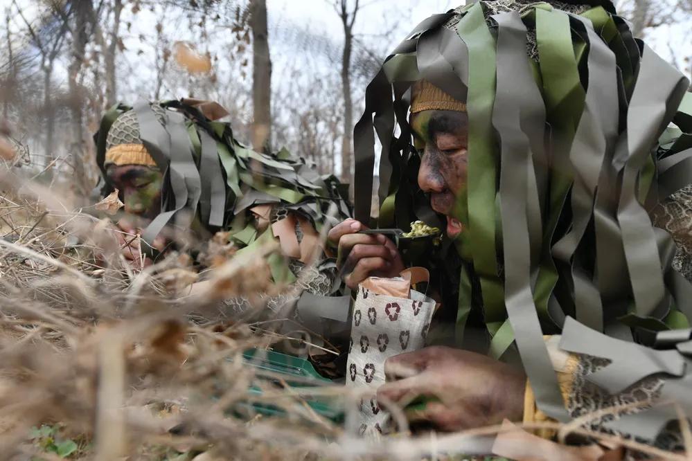 第71集团军“中野虎师”：“虎”为荣誉名，虎气霸屏！