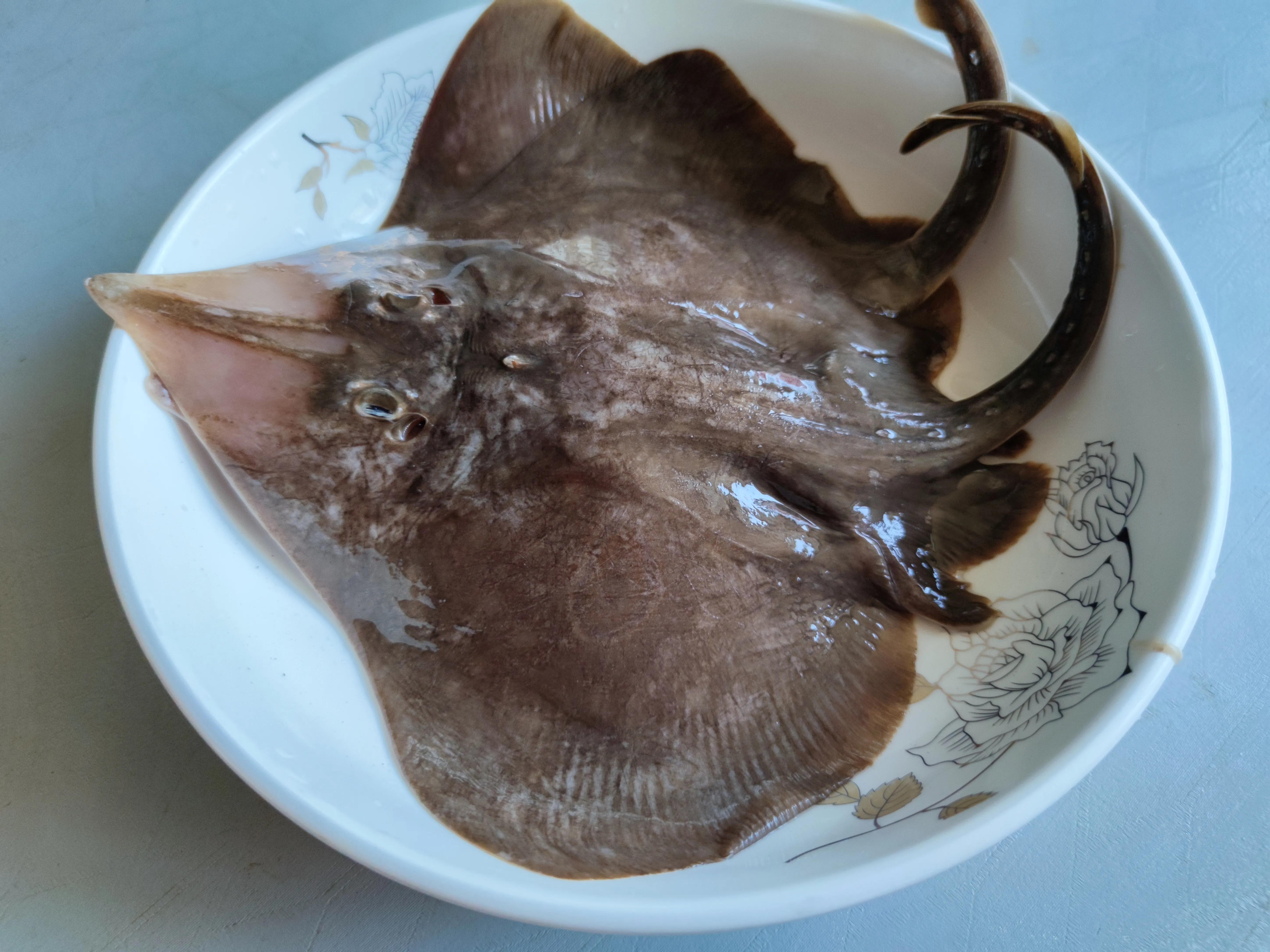 这个季节野生的海鱼有哪些,现在季节吃的海鱼有什么品种