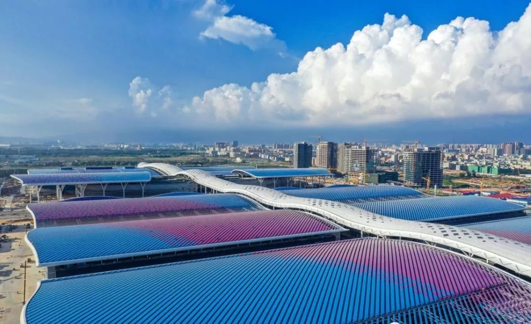 深圳最全宠物公园合集来啦,逛深圳宠物展