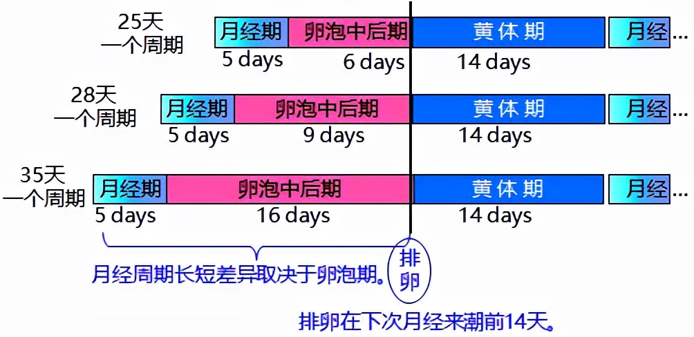 怕ta不来，又怕ta乱来！女生关于月经那点事儿