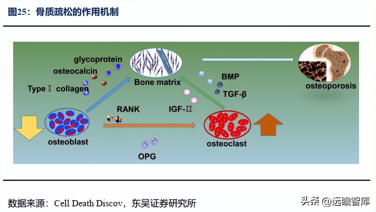 信立泰药业差异化,信立泰创新药研发能力