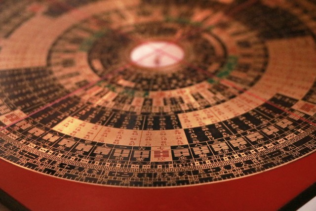 2023年兔是白兔还是黑兔,2023年黑兔好吗