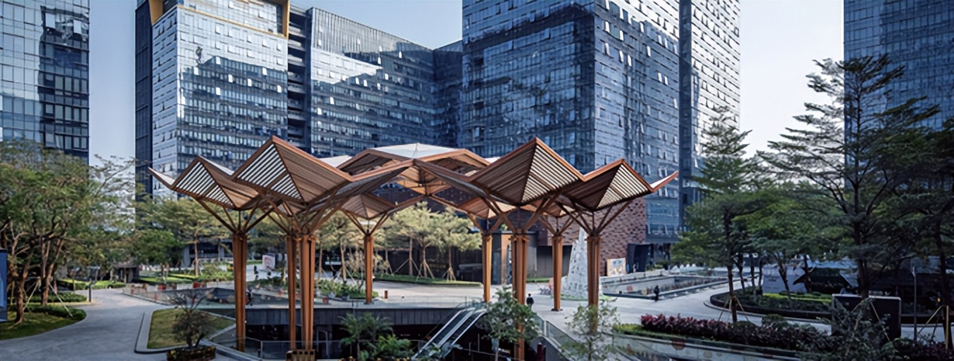 融入大湾区发展,融入大湾区共谋新发展