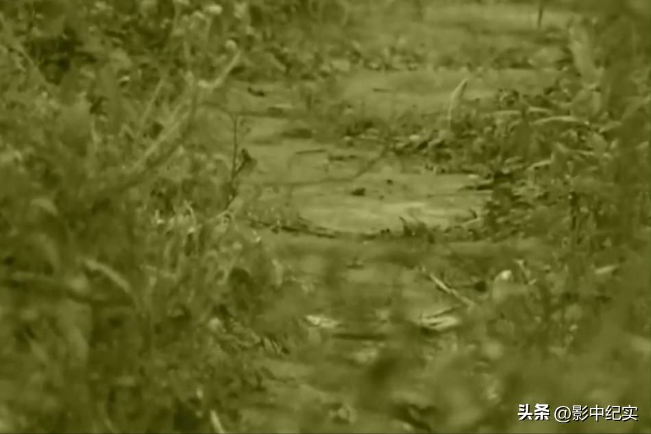 2014年重庆85岁老太惨遭遗弃，冻死在儿子家门口，4名不孝子获刑