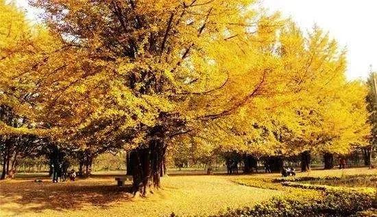 一个从农村走出来的创业者,从农村草根到百万的网红