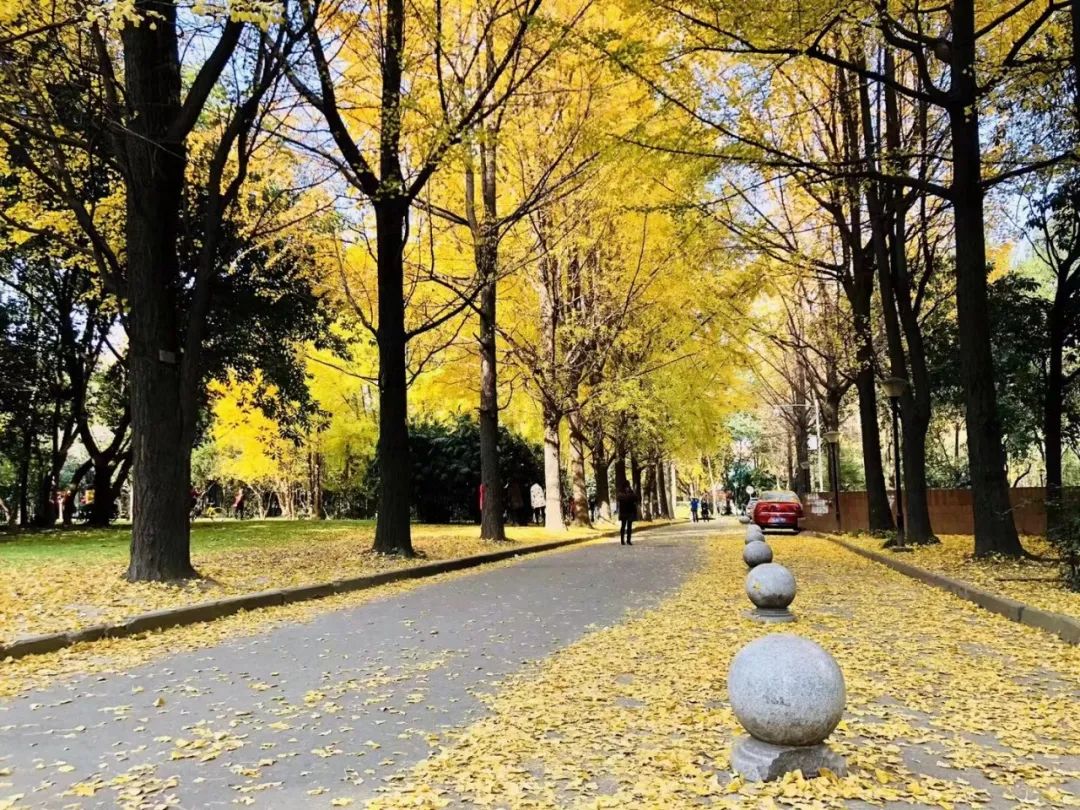 西南交大好看吗,西南交大女生好看吗