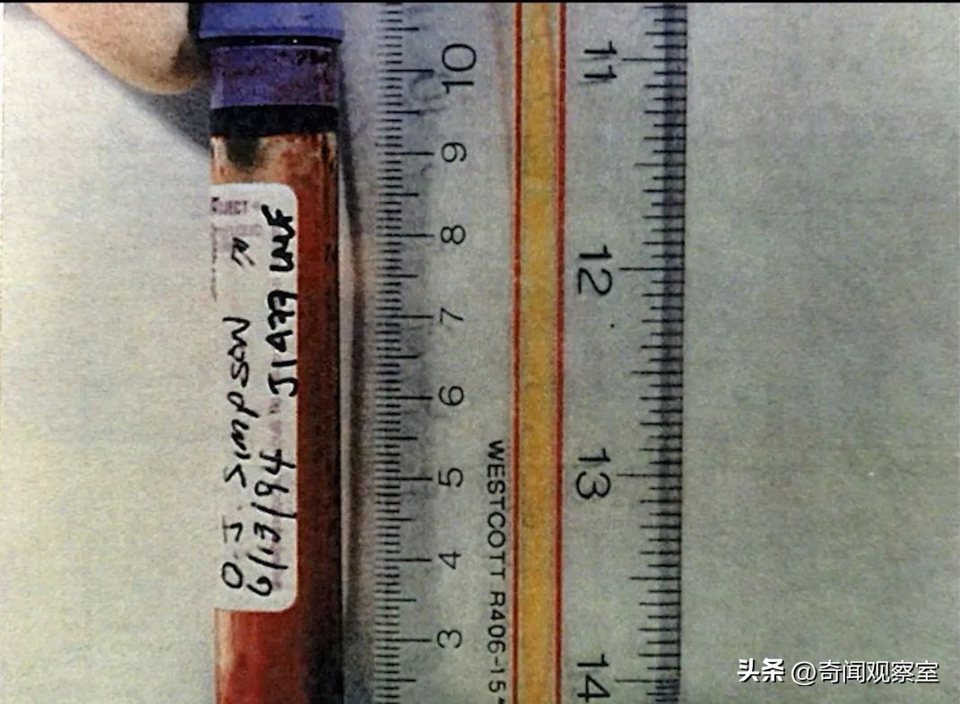 辛普森案真相解析,辛普森案真相解密