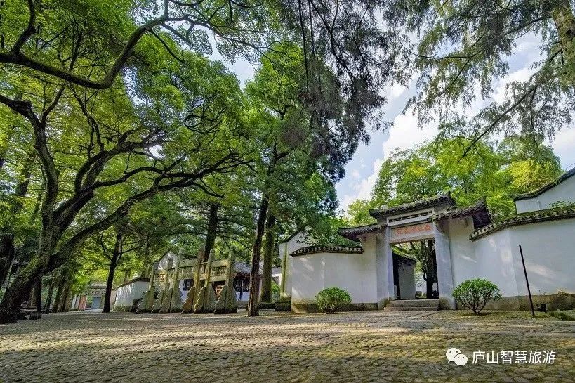 田园醉秋·追浔季丨开车上庐山、“一票多次多日使用制”，9月1日开始实行，你所关心的事项看这里→