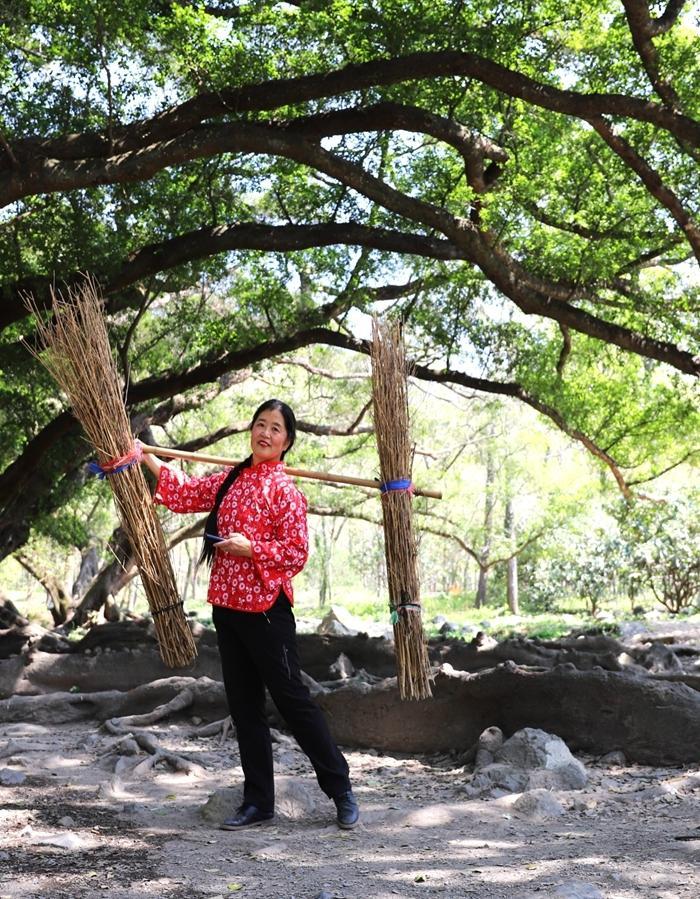 霞浦畲族农家乐,霞浦盐田农家乐