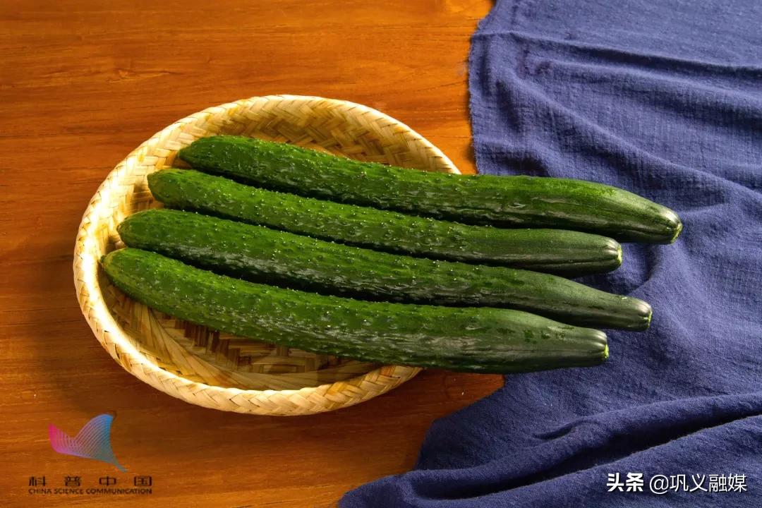 相声黄瓜明明是绿色为什么叫黄瓜,明明是绿色的为什么叫黄瓜呢