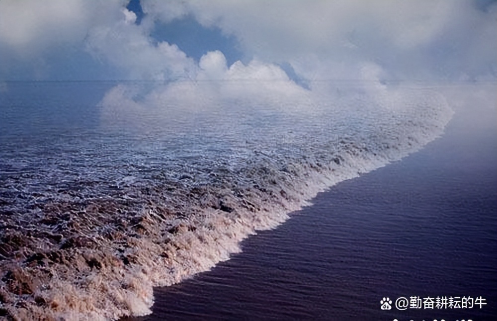 五代吴越国和吴国战争,五代十国的吴越与战国吴越