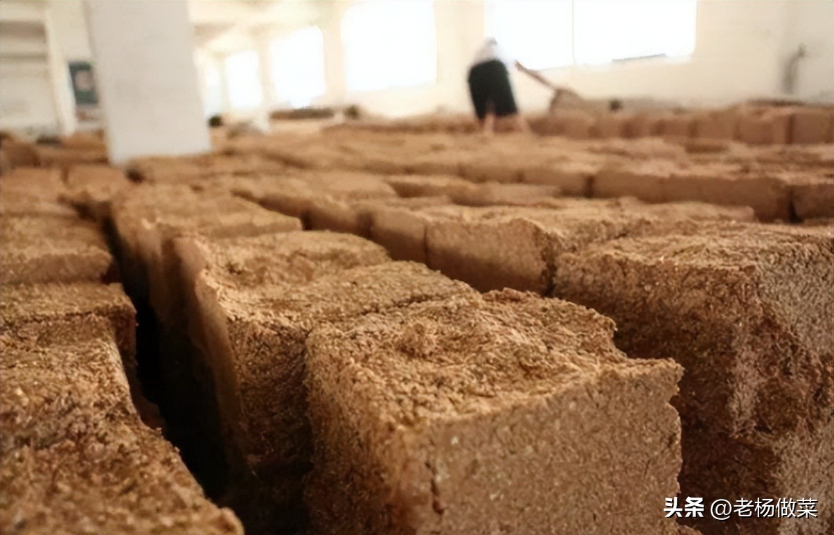 粮食酿酒多少斤出一斤白酒,100斤粮食出多少酒头