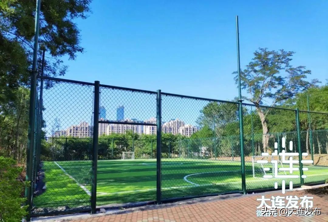 众人拾柴重现人间烟火气,众人拾柴励志视频