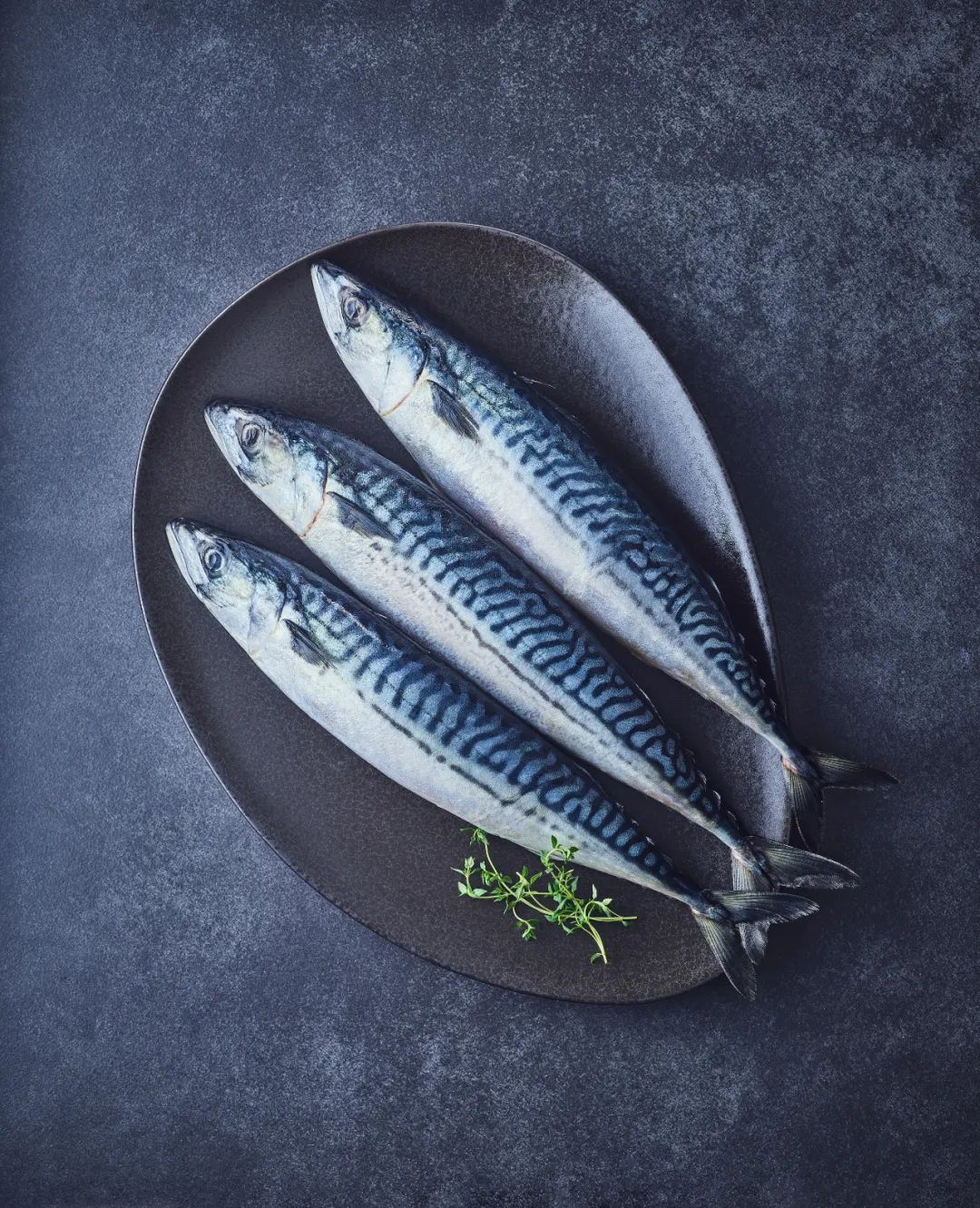 日式碳烤青花鱼做法,干煎小金枪鱼