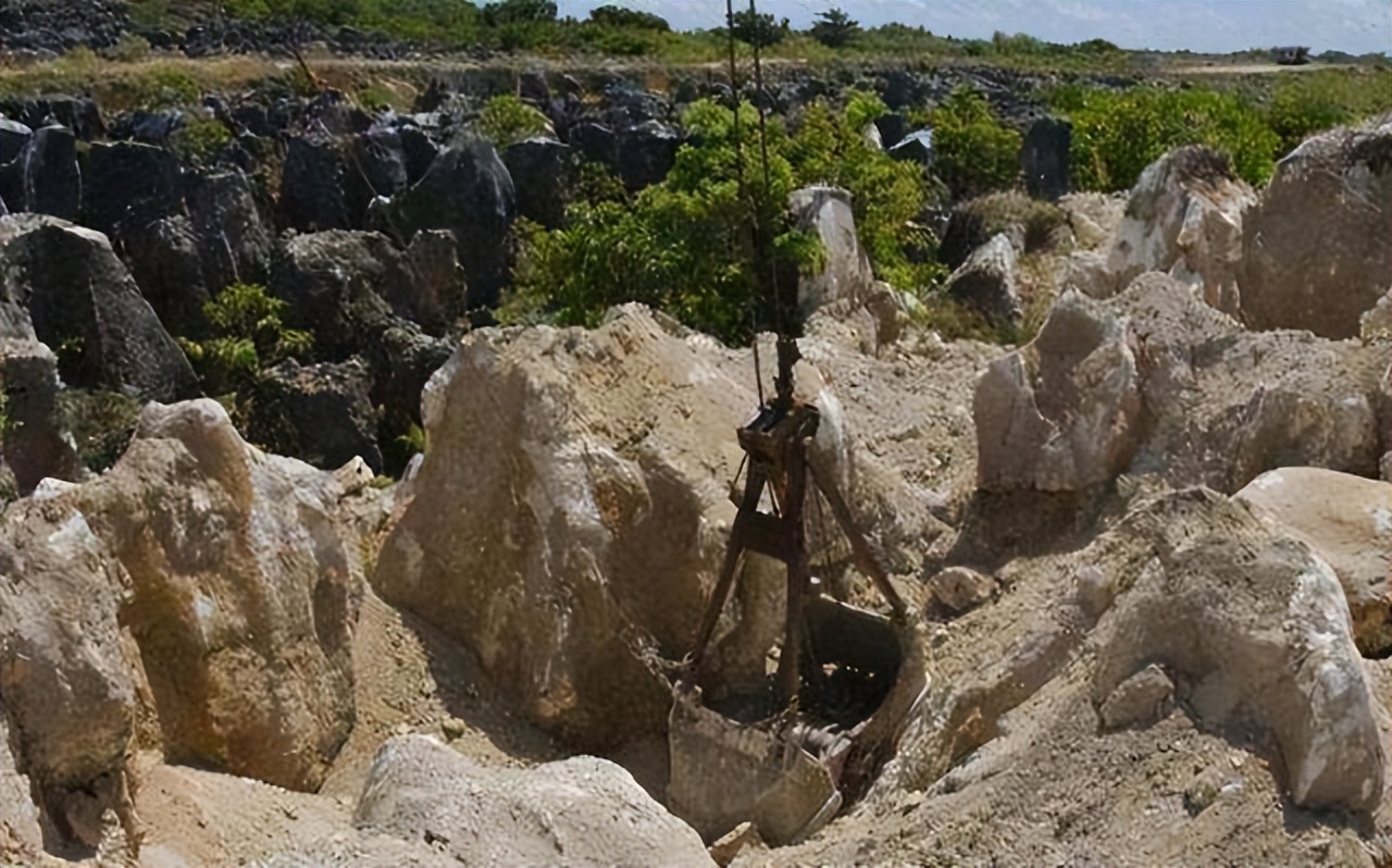 魔幻岛国瑙鲁：靠卖鸟粪致富，政府分配别墅豪车，岛民寿命却不长